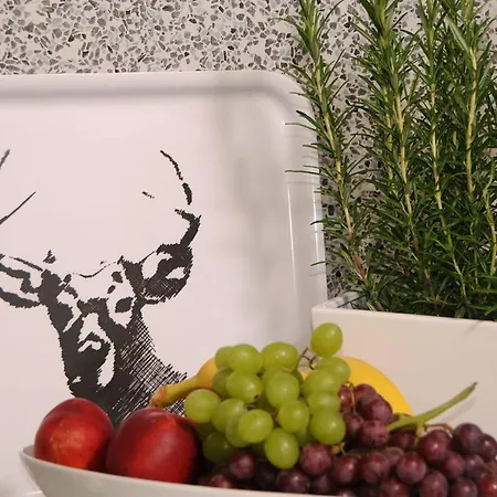 Michael Apartment Mayrhofen